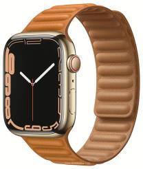 Apple Watch Series 7