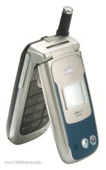 Bird DV10