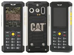Cat B100
