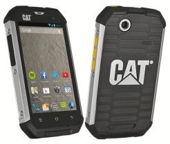 Cat B15