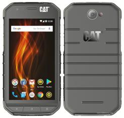 Cat S31
