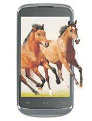 Celkon A20