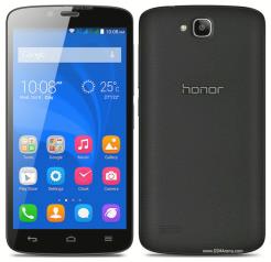 Honor Holly
