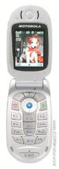Motorola V303