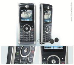 Motorola W209
