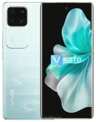vivo V30