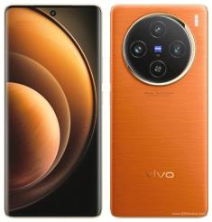 vivo X100