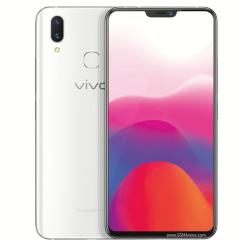 vivo X21